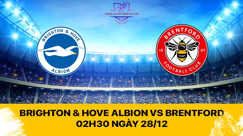 Brighton & Hove Albion vs Brentford 02h30 ngày 28/12 - Mòng biển quyết thắng