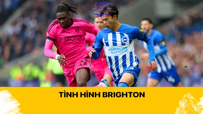 Tình hình Brighton