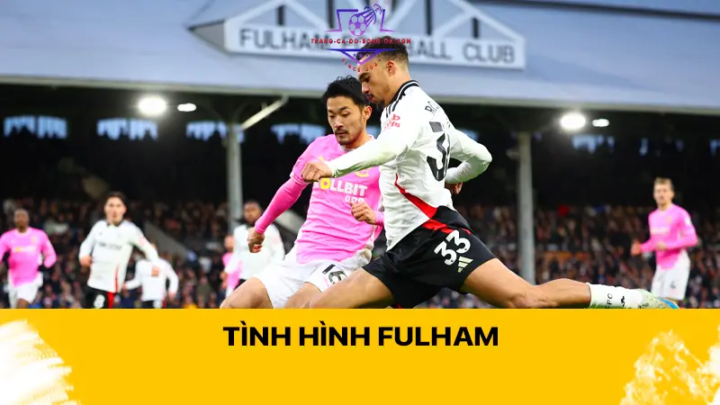 Tình hình Fulham