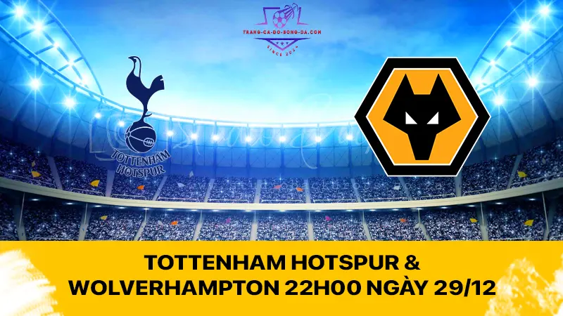 Tottenham Hotspur & Wolverhampton 22h00 ngày 29/12 - Tò te quyết lấy 3 điểm