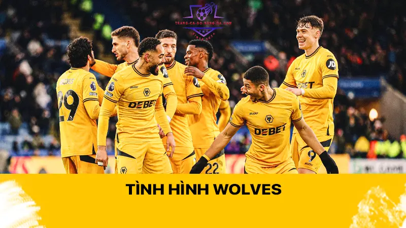 Tình hình Wolves